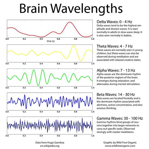 brain wavea